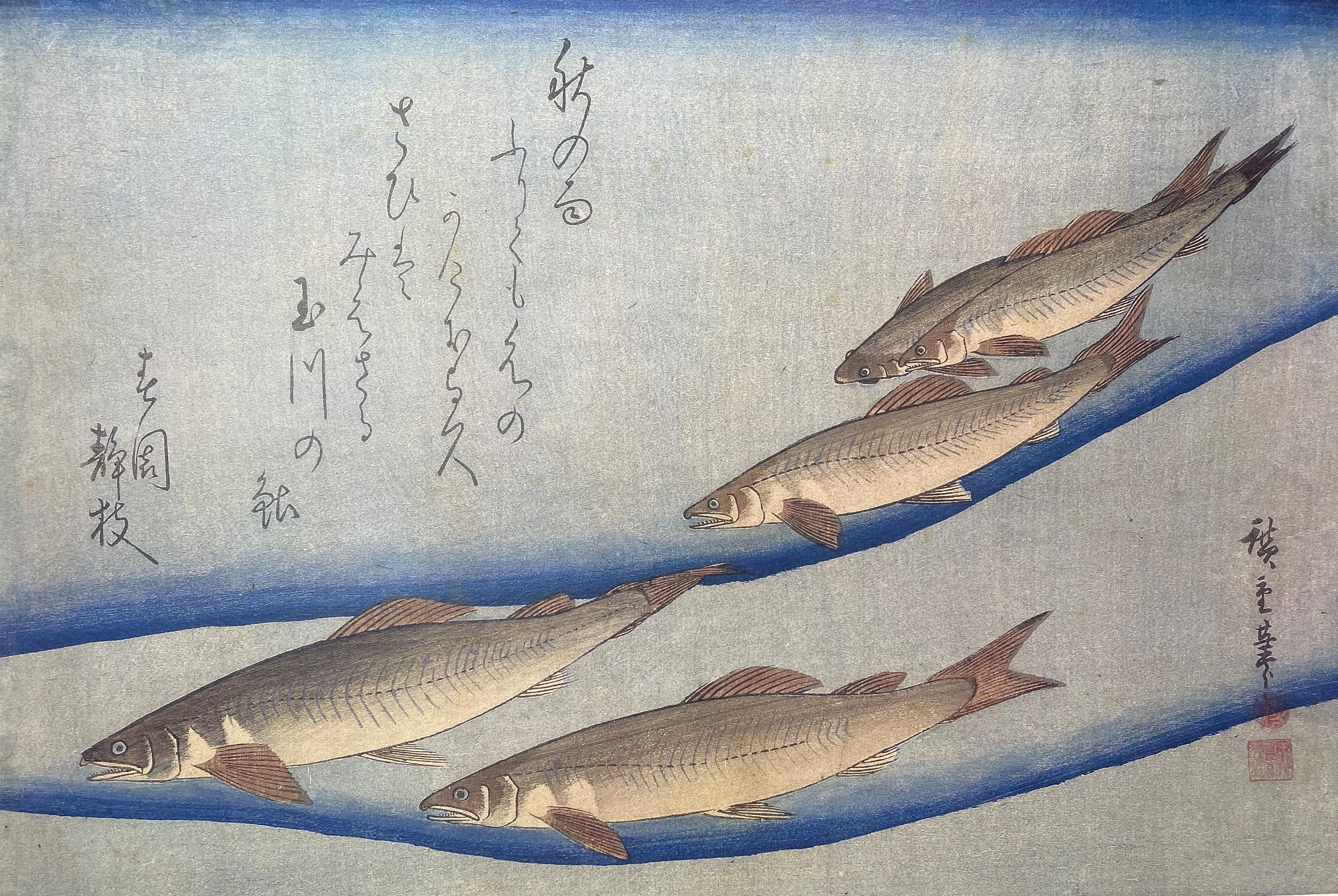 Sweet Fish in Tama River (Machine Print)